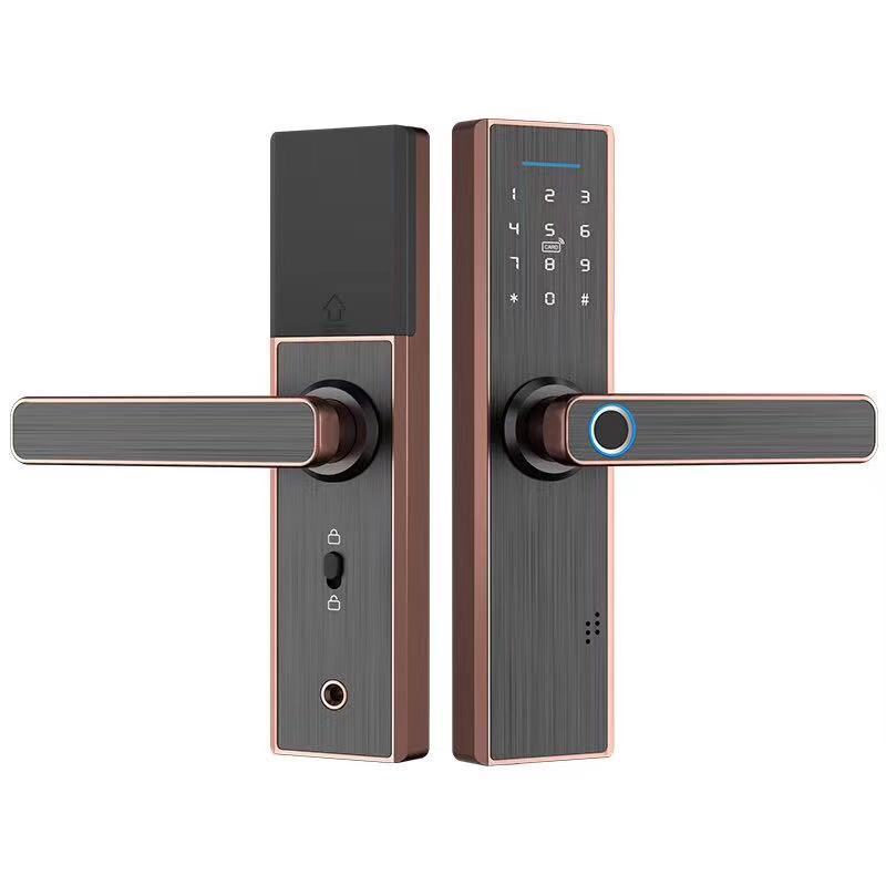 Home Door Spherical Smart Lock